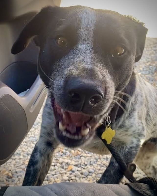 Violet Sky - Photo 6