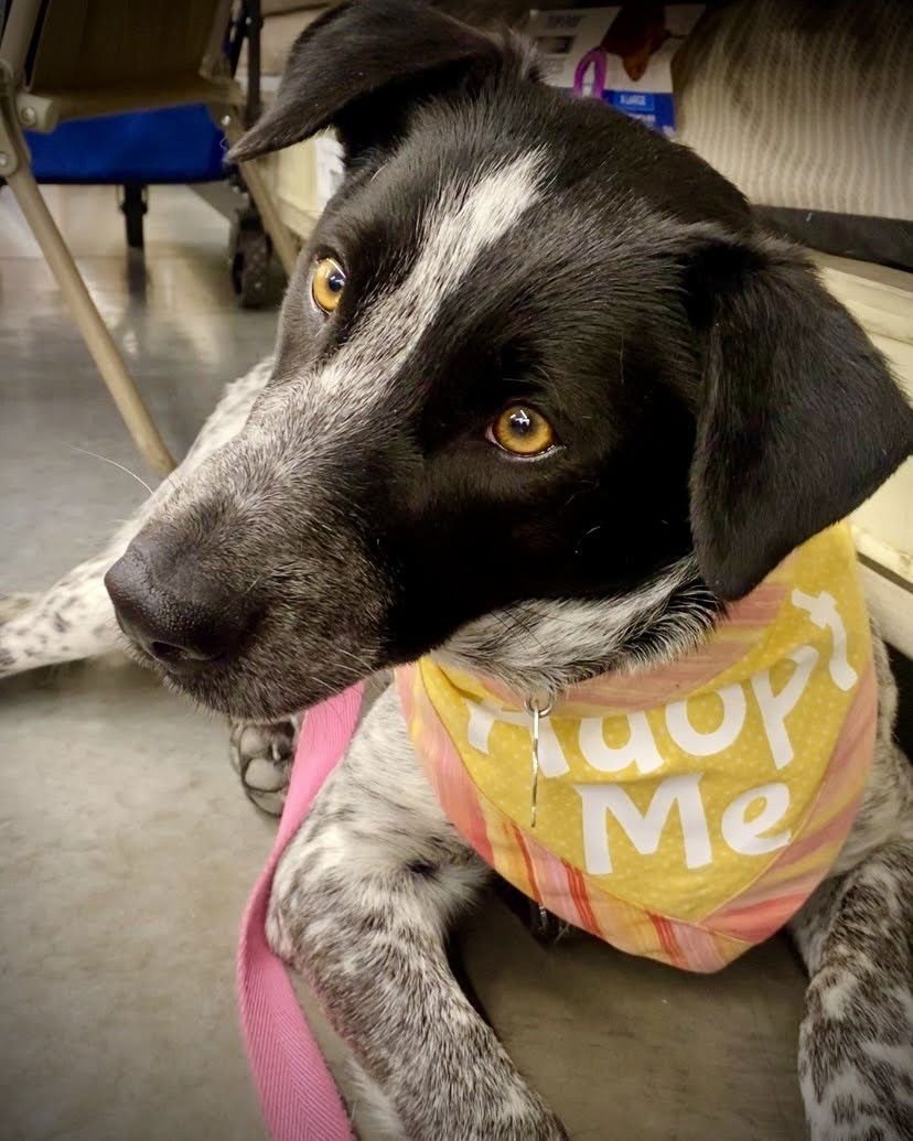 Violet Sky - Photo 7