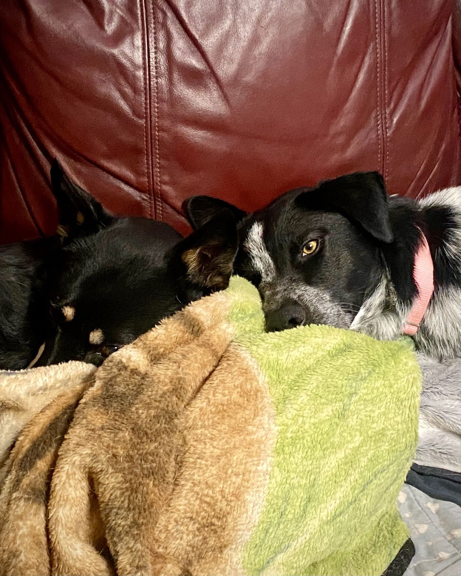 Violet Sky - Photo 9