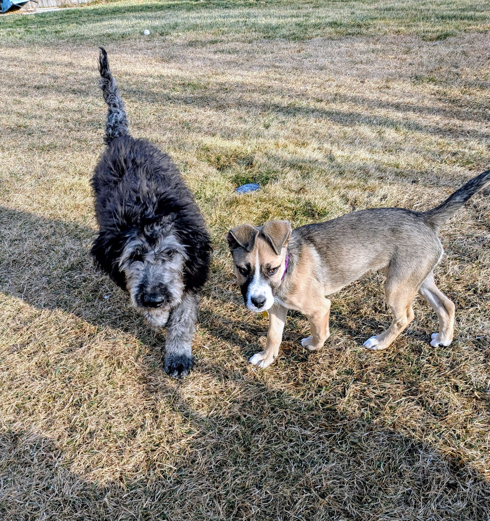 Sloane Rosie - Photo 11