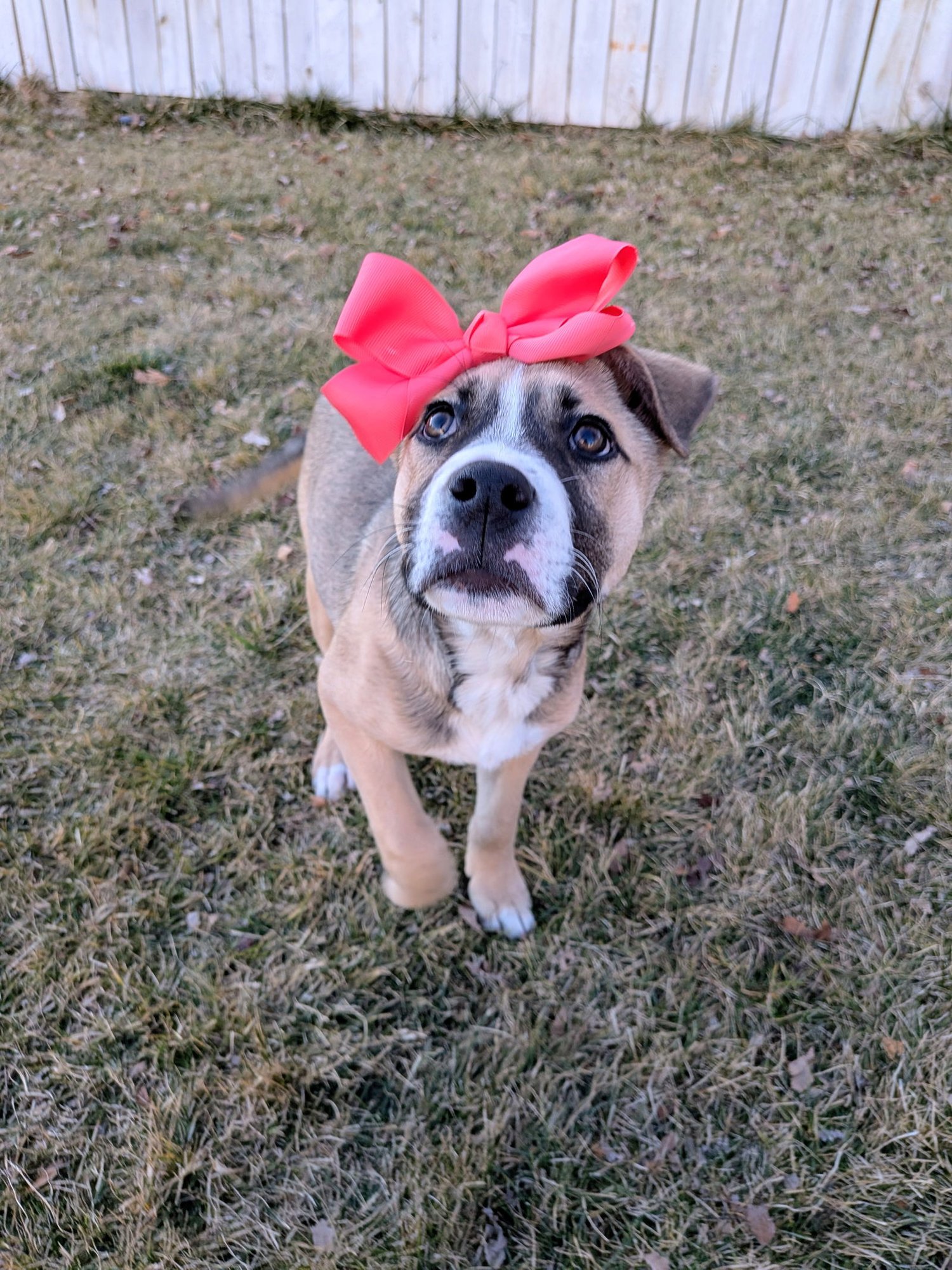 Sloane Rosie - Photo 12