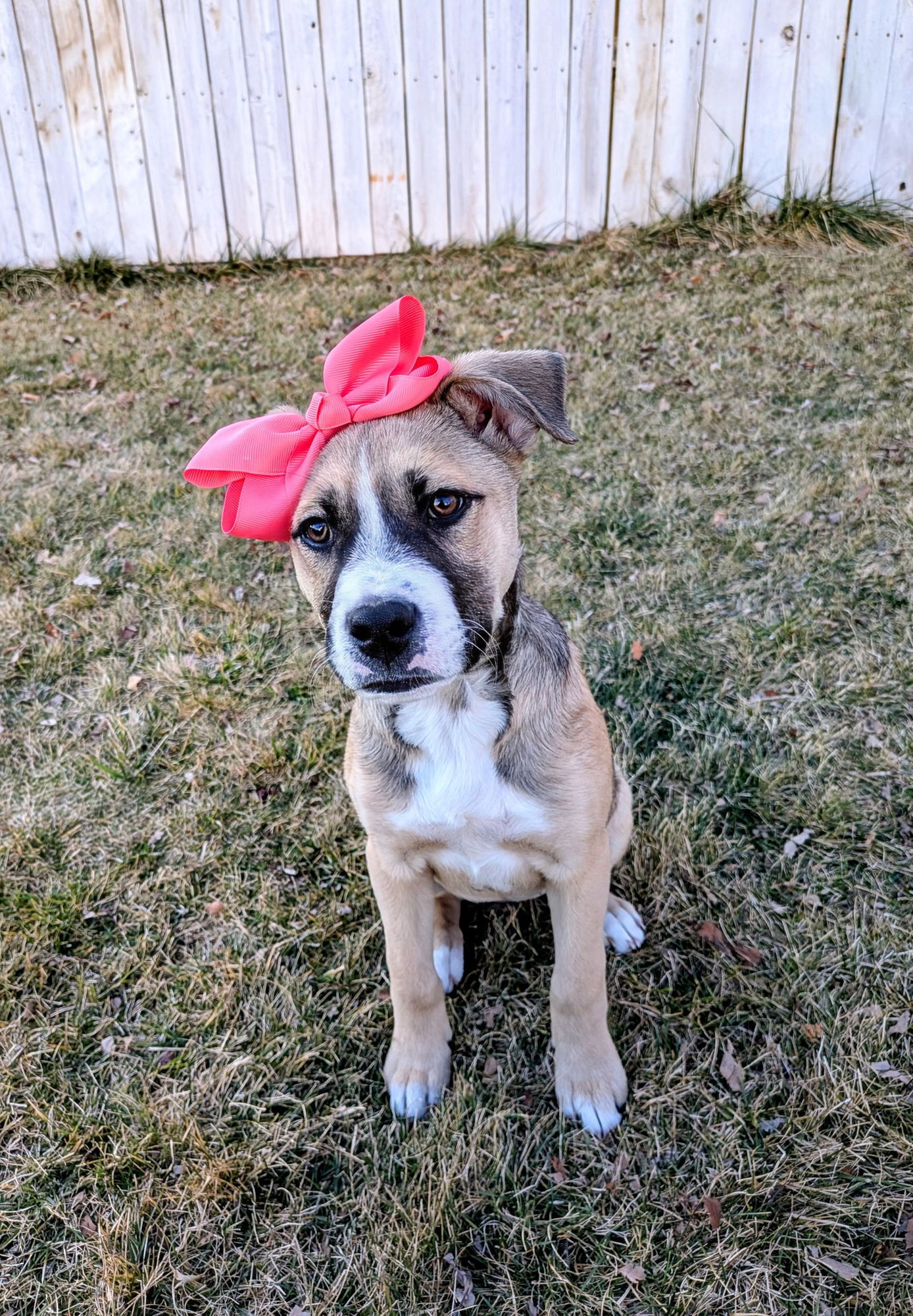 Sloane Rosie - Photo 3