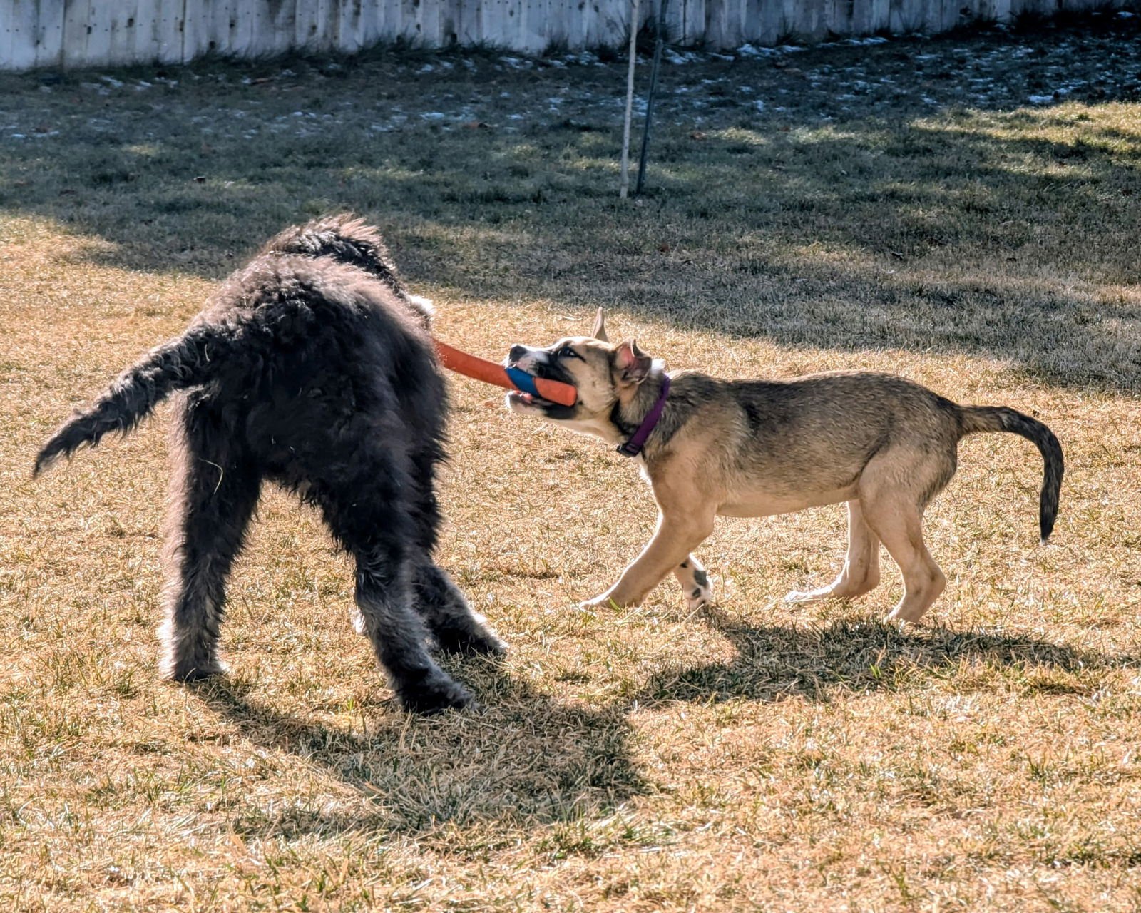 Sloane Rosie - Photo 4