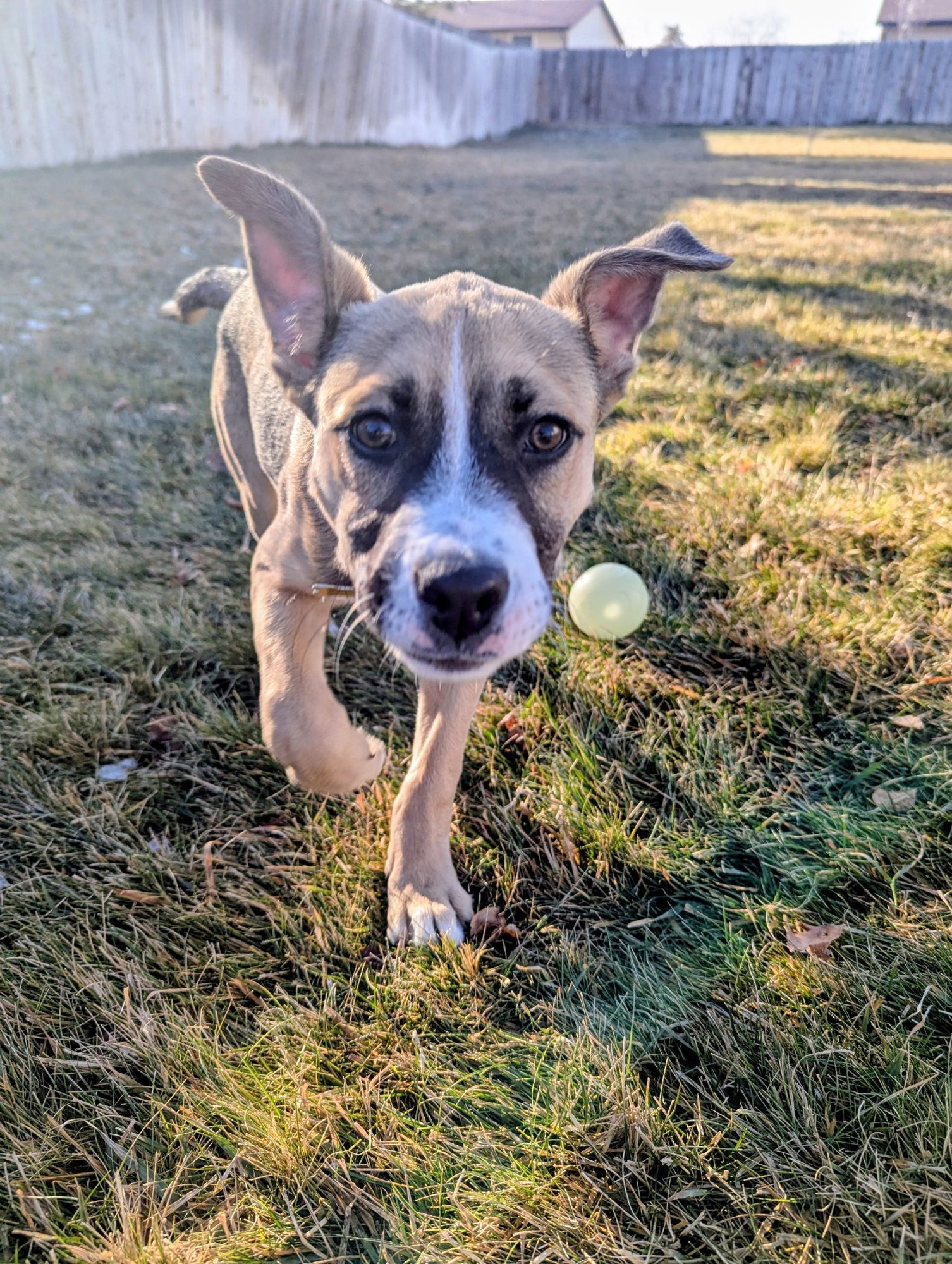 Sloane Rosie - Photo 5