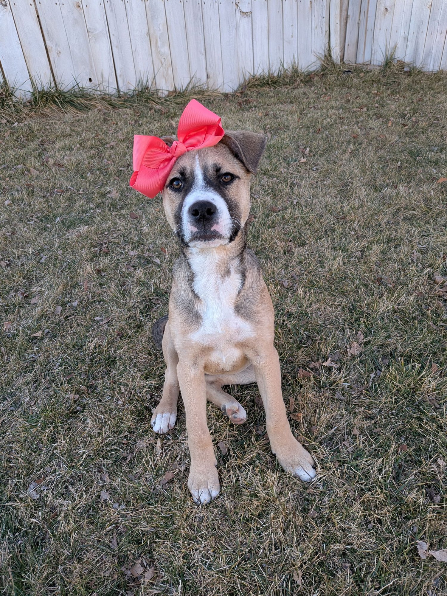 Sloane Rosie - Photo 6