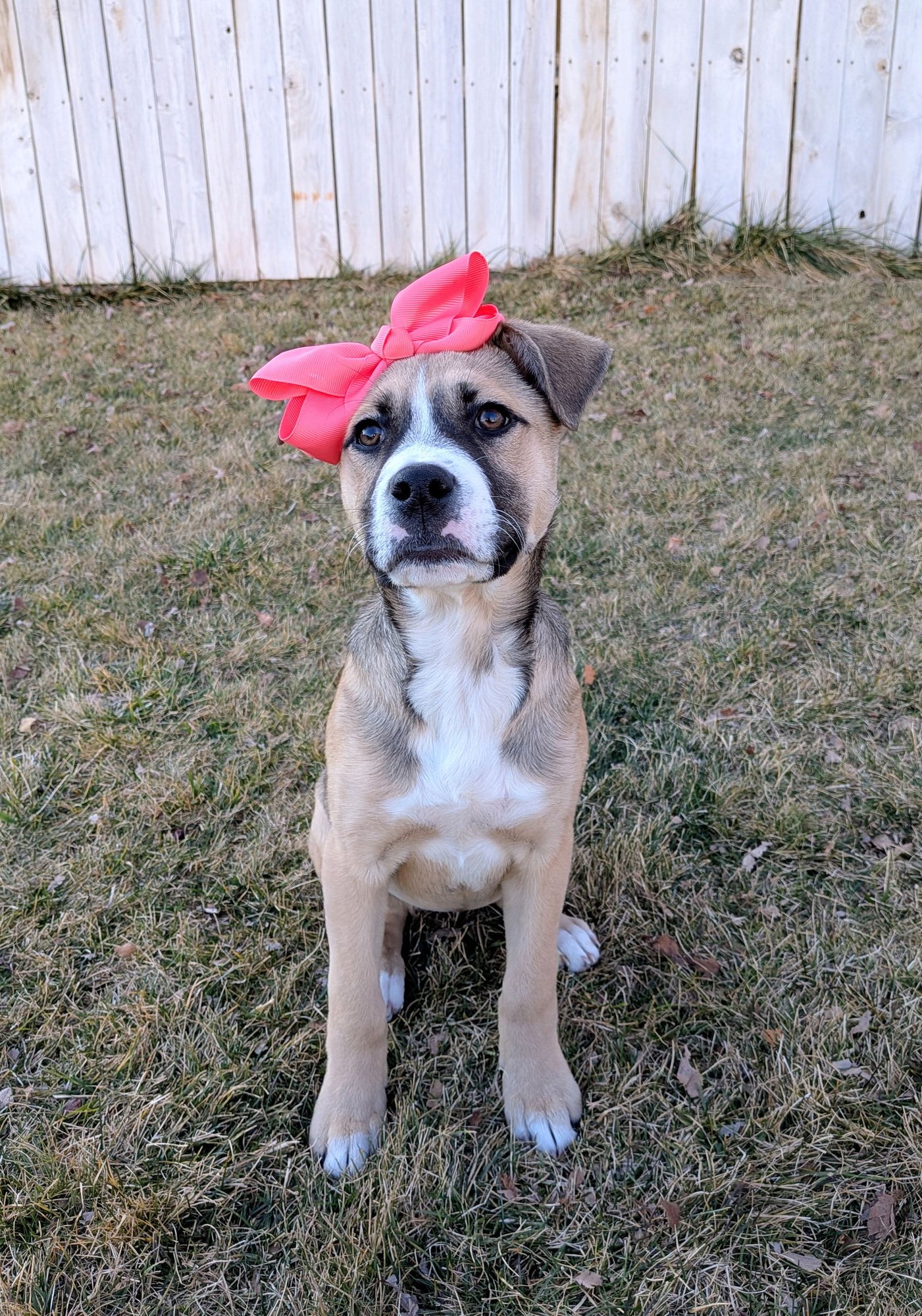 Sloane Rosie - Photo 7