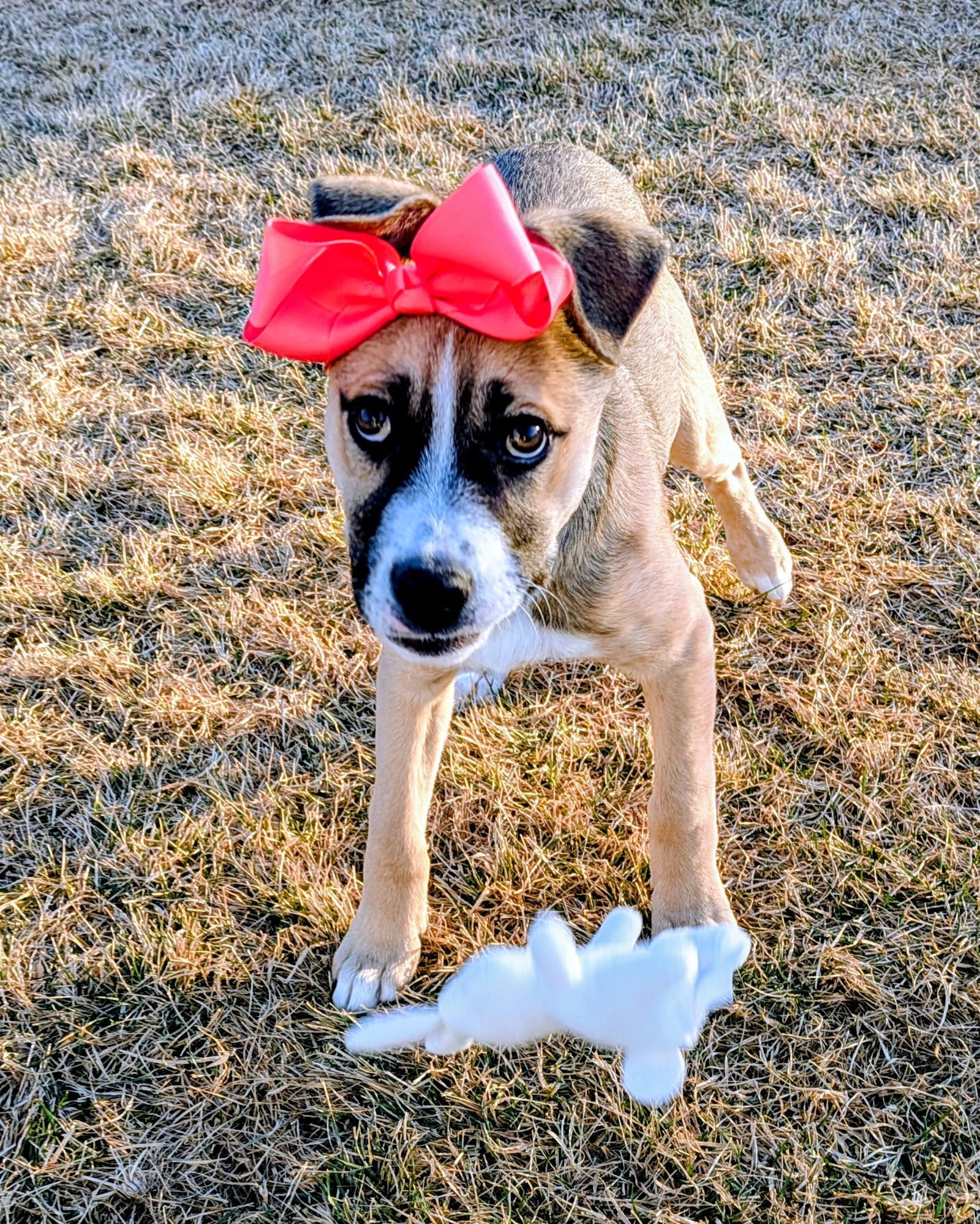 Sloane Rosie - Photo 8