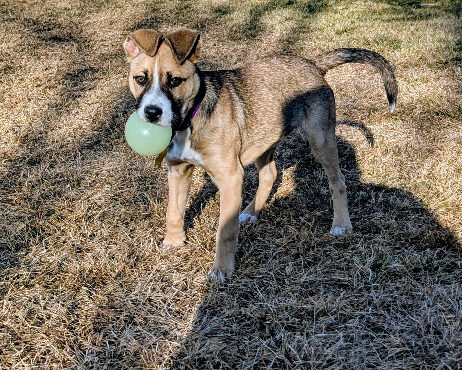 Sloane Rosie - Photo 9