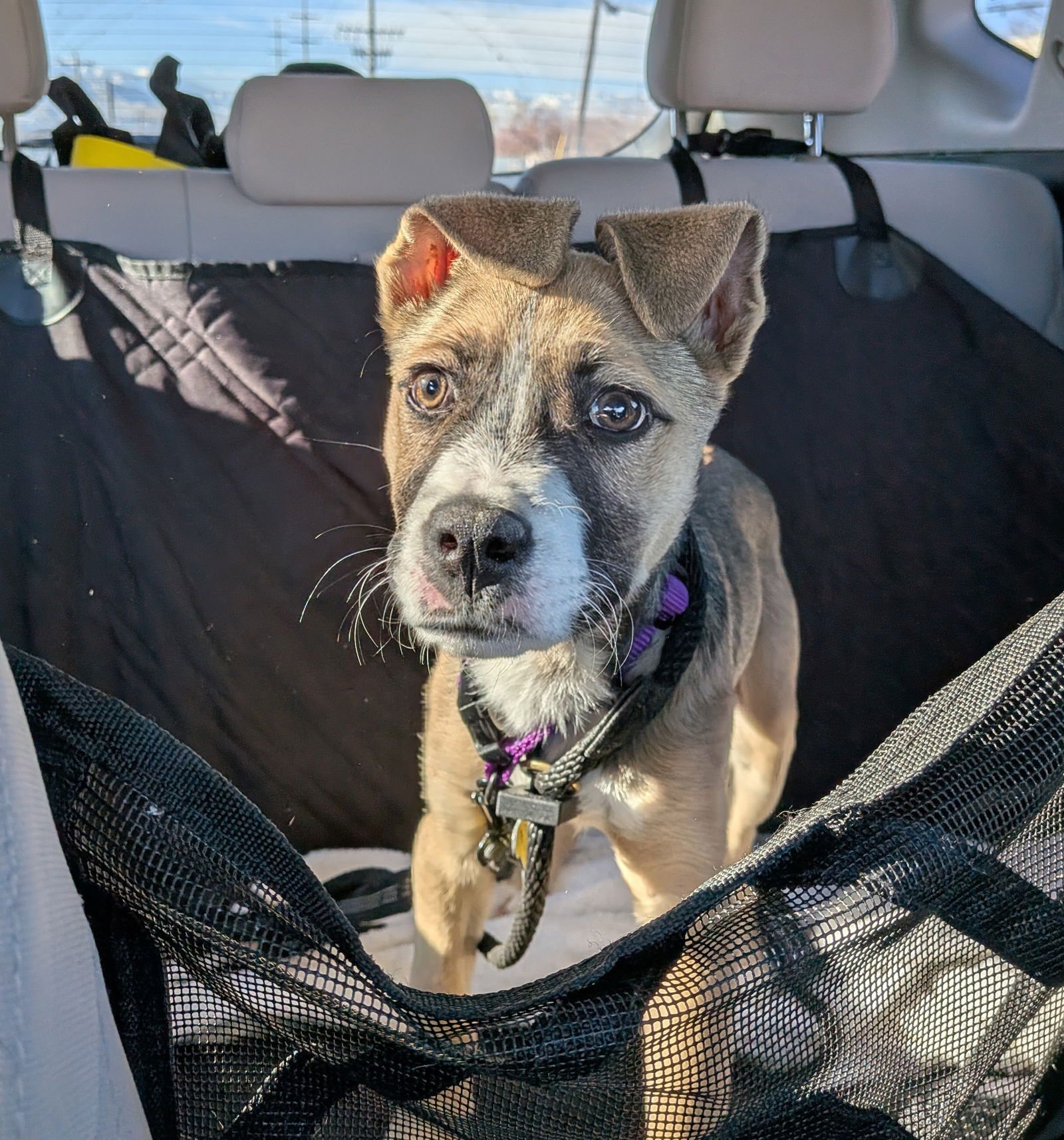 Sloane Rosie - Photo 10