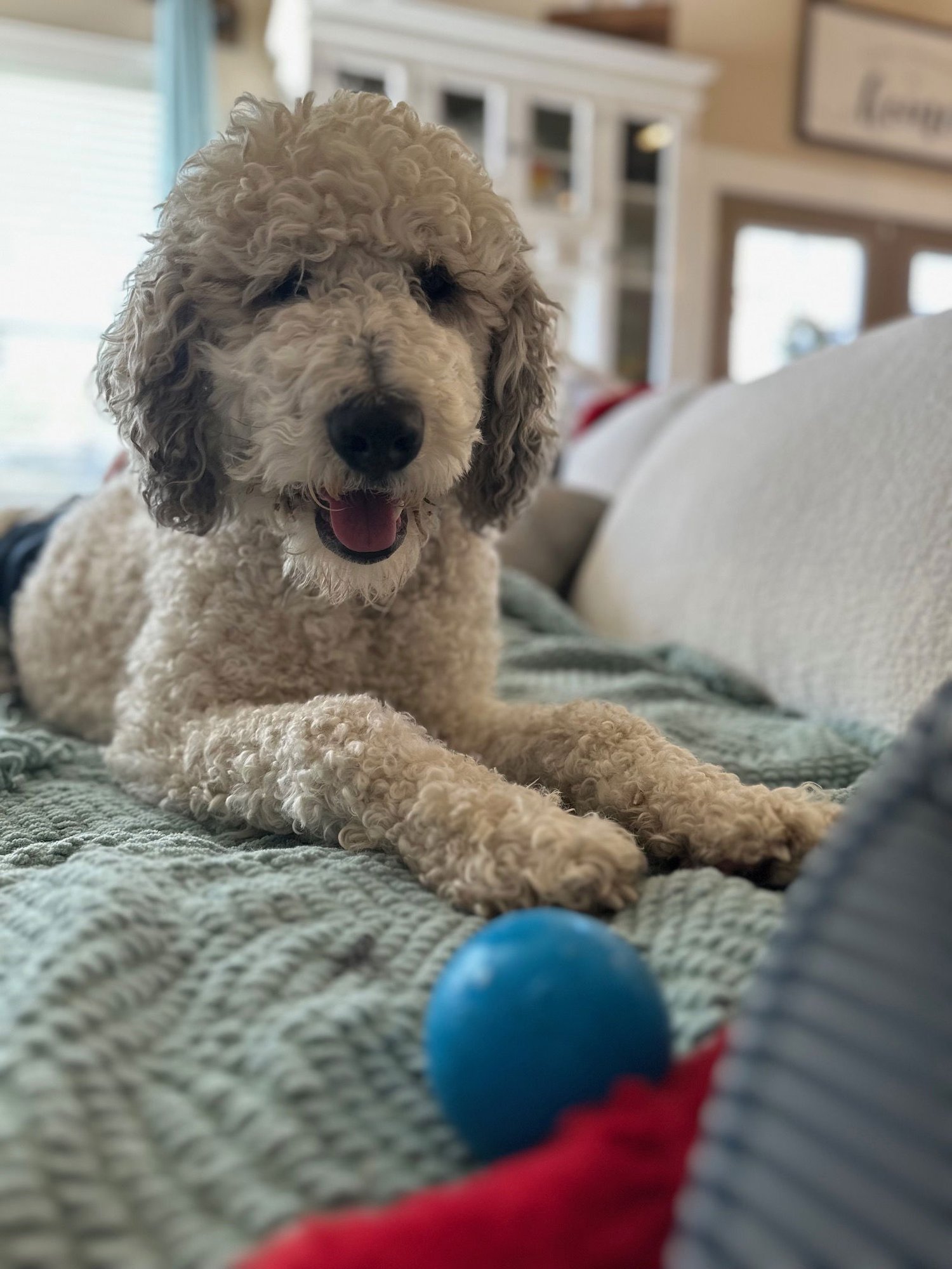 Christopher Mittens - Photo 11