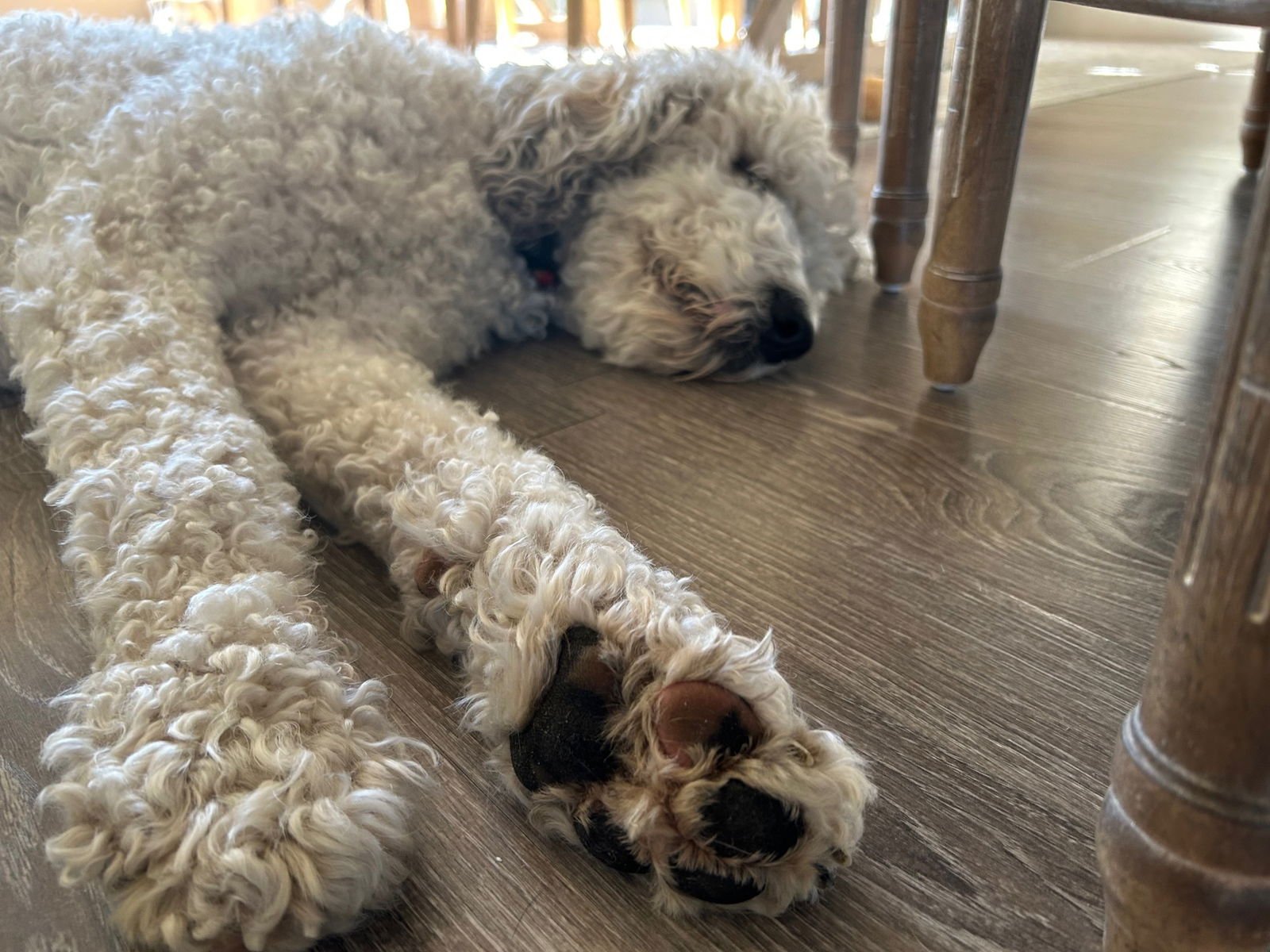 Christopher Mittens - Photo 12