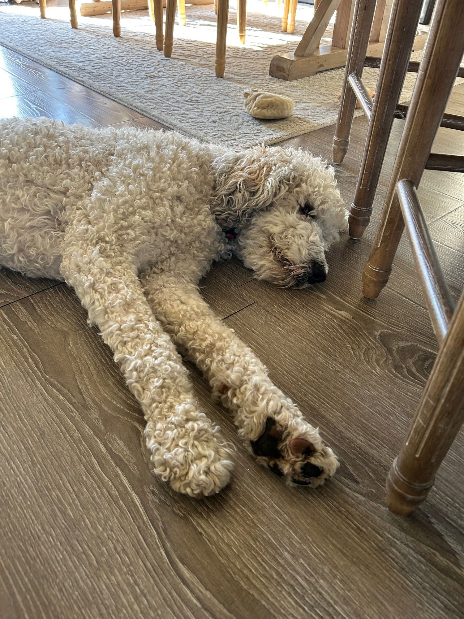 Christopher Mittens - Photo 13