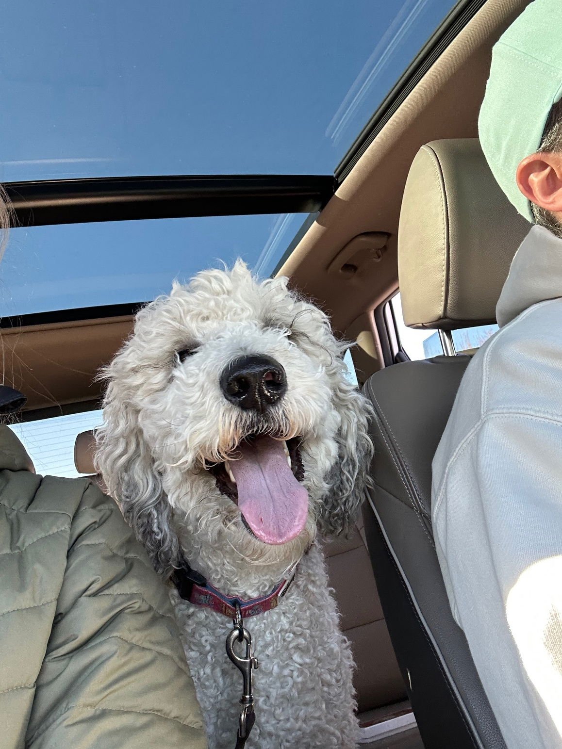 Christopher Mittens - Photo 14