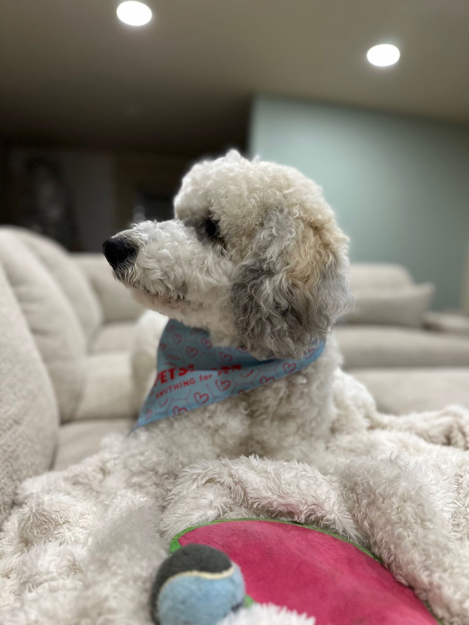 Christopher Mittens - Photo 16