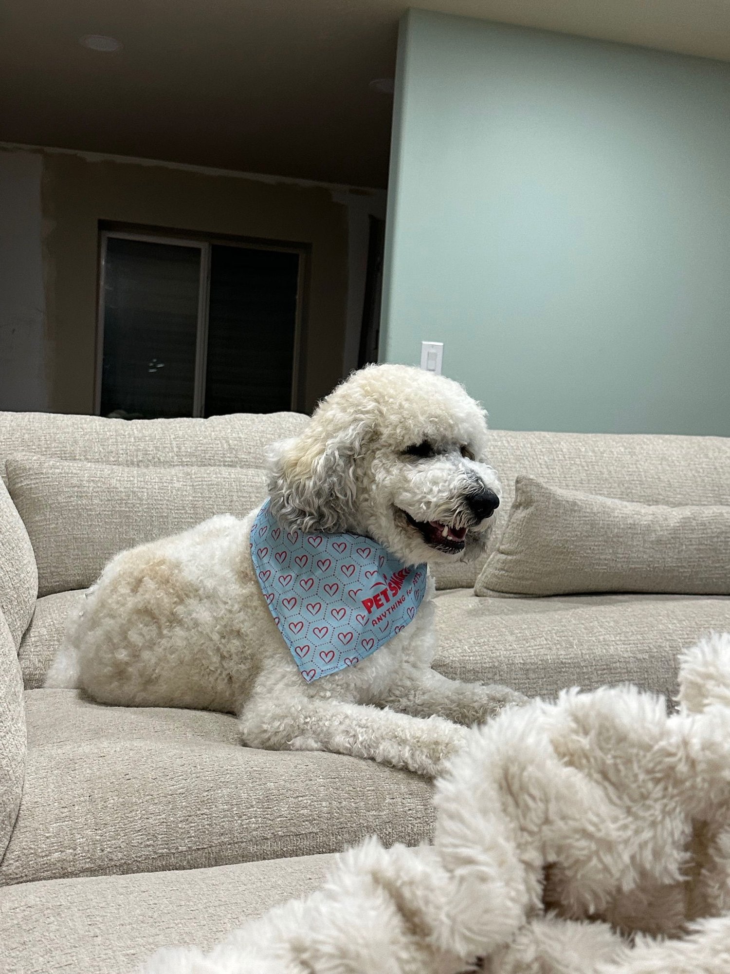 Christopher Mittens - Photo 17