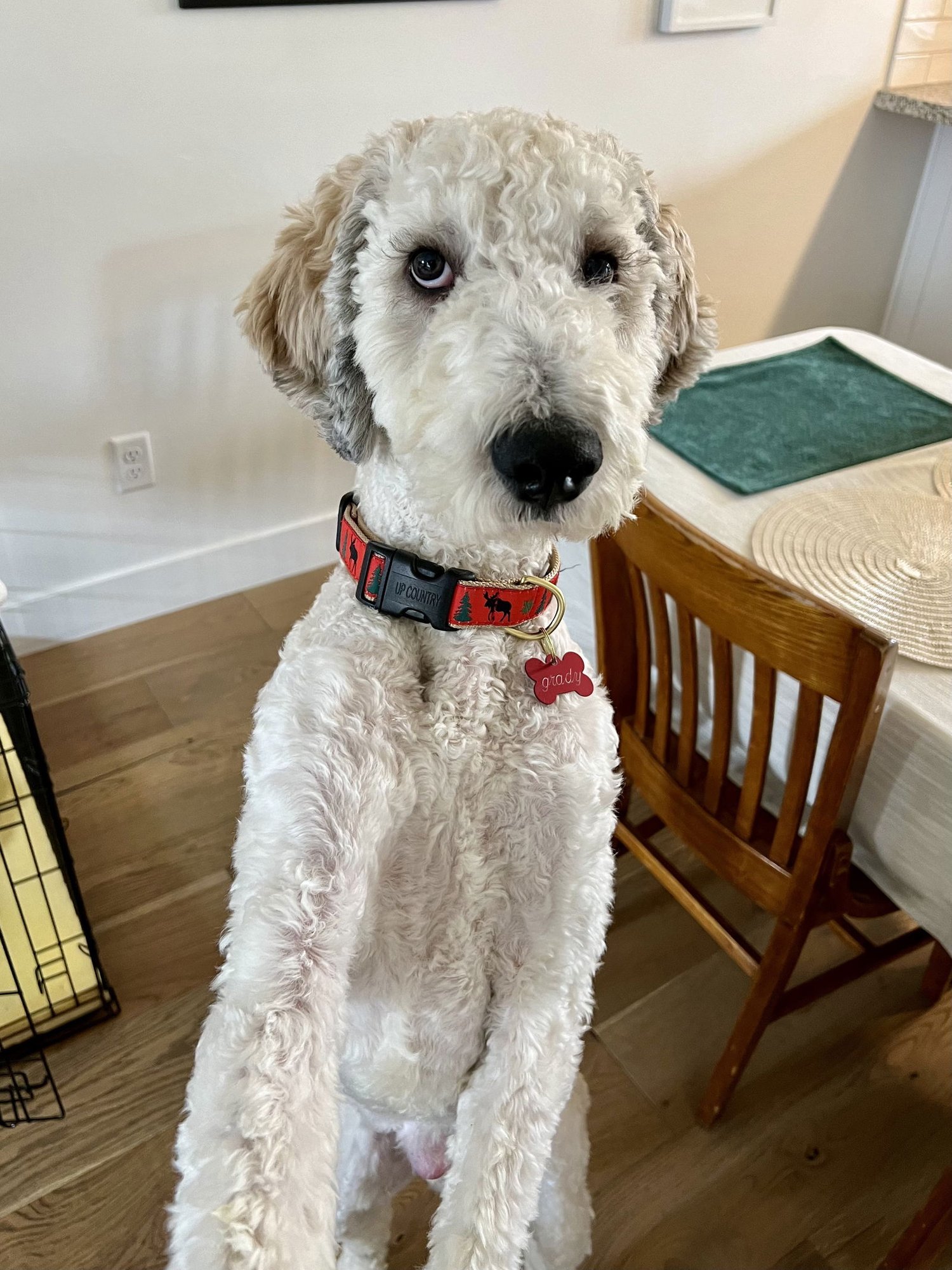 Christopher Mittens - Photo 5