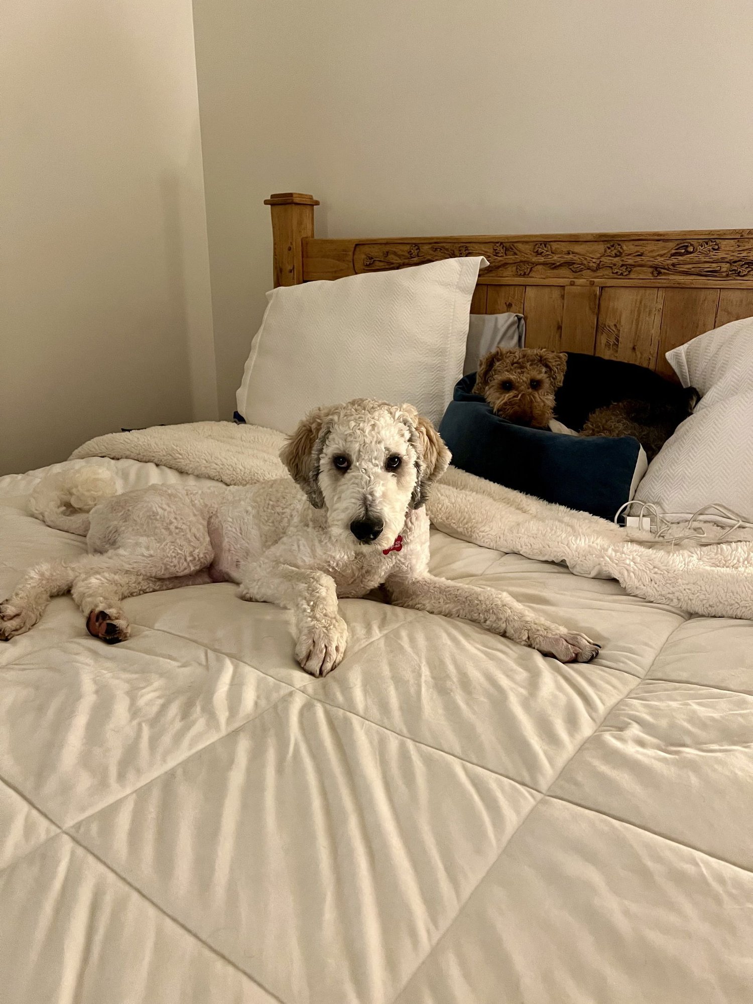 Christopher Mittens - Photo 6