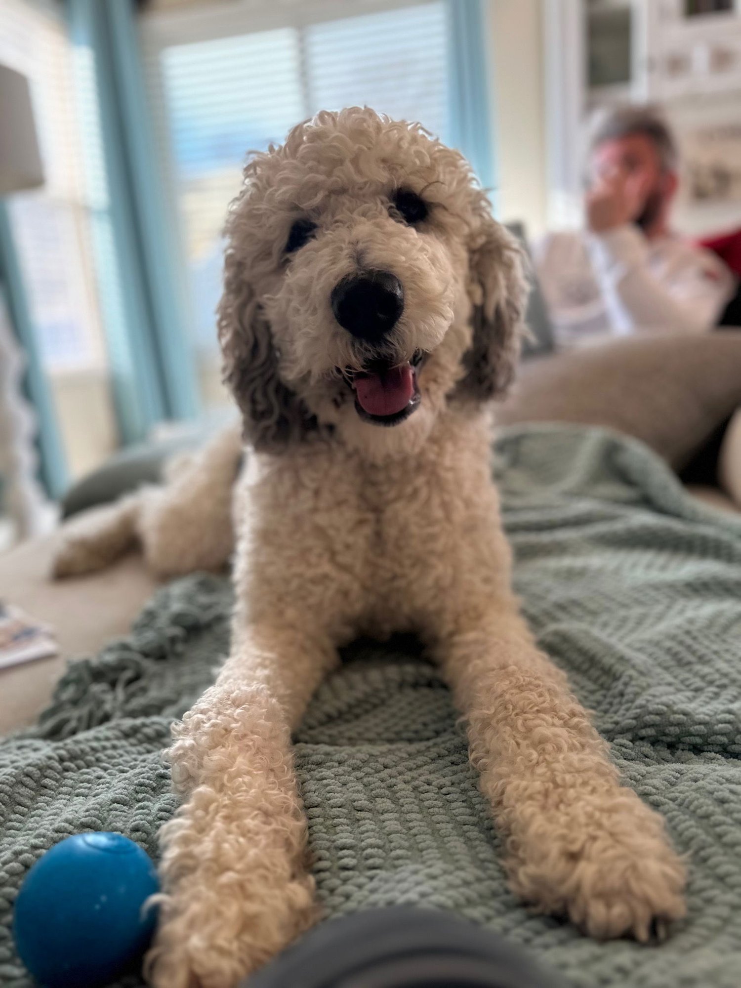 Christopher Mittens - Photo 7