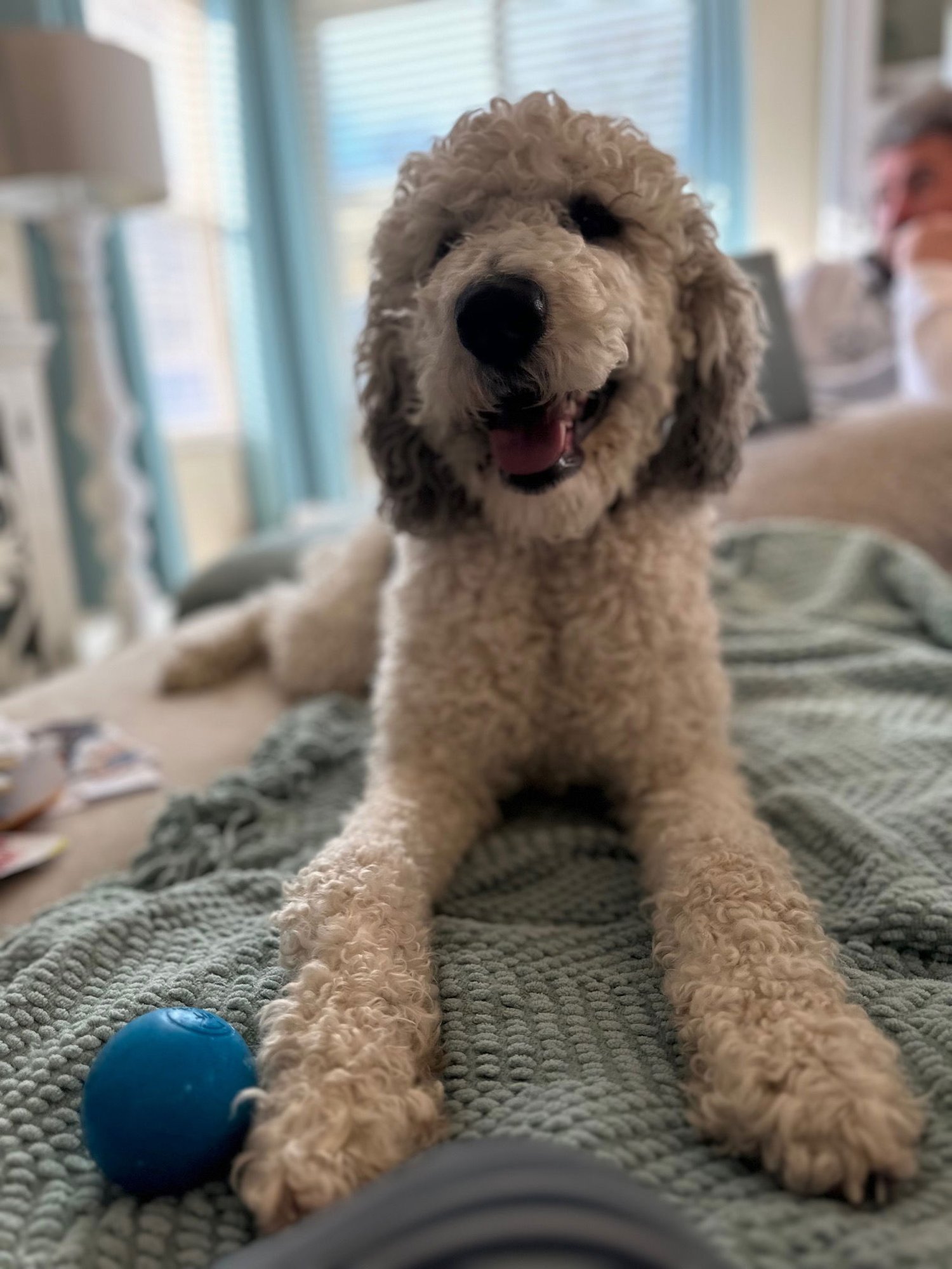 Christopher Mittens - Photo 9