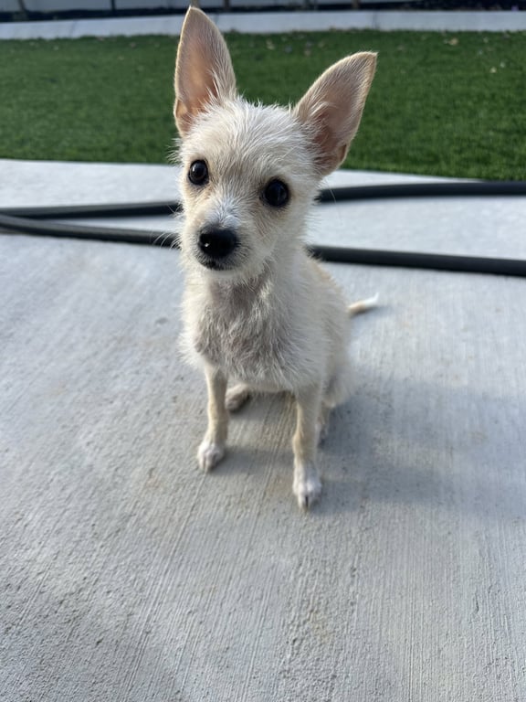 Daisy May Image