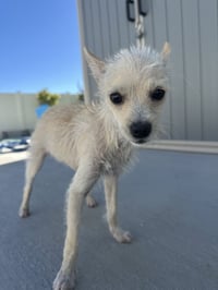 Daisy May - Photo 6
