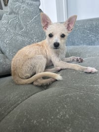 Daisy May - Photo 2