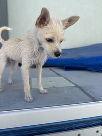 Daisy May - Photo 8