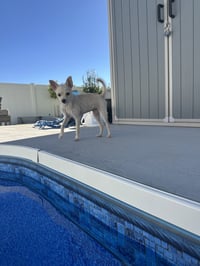 Daisy May - Photo 7