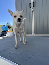 Daisy May - Photo 5