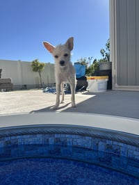 Daisy May - Photo 4