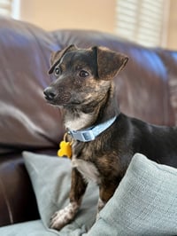 Symon - Photo 3