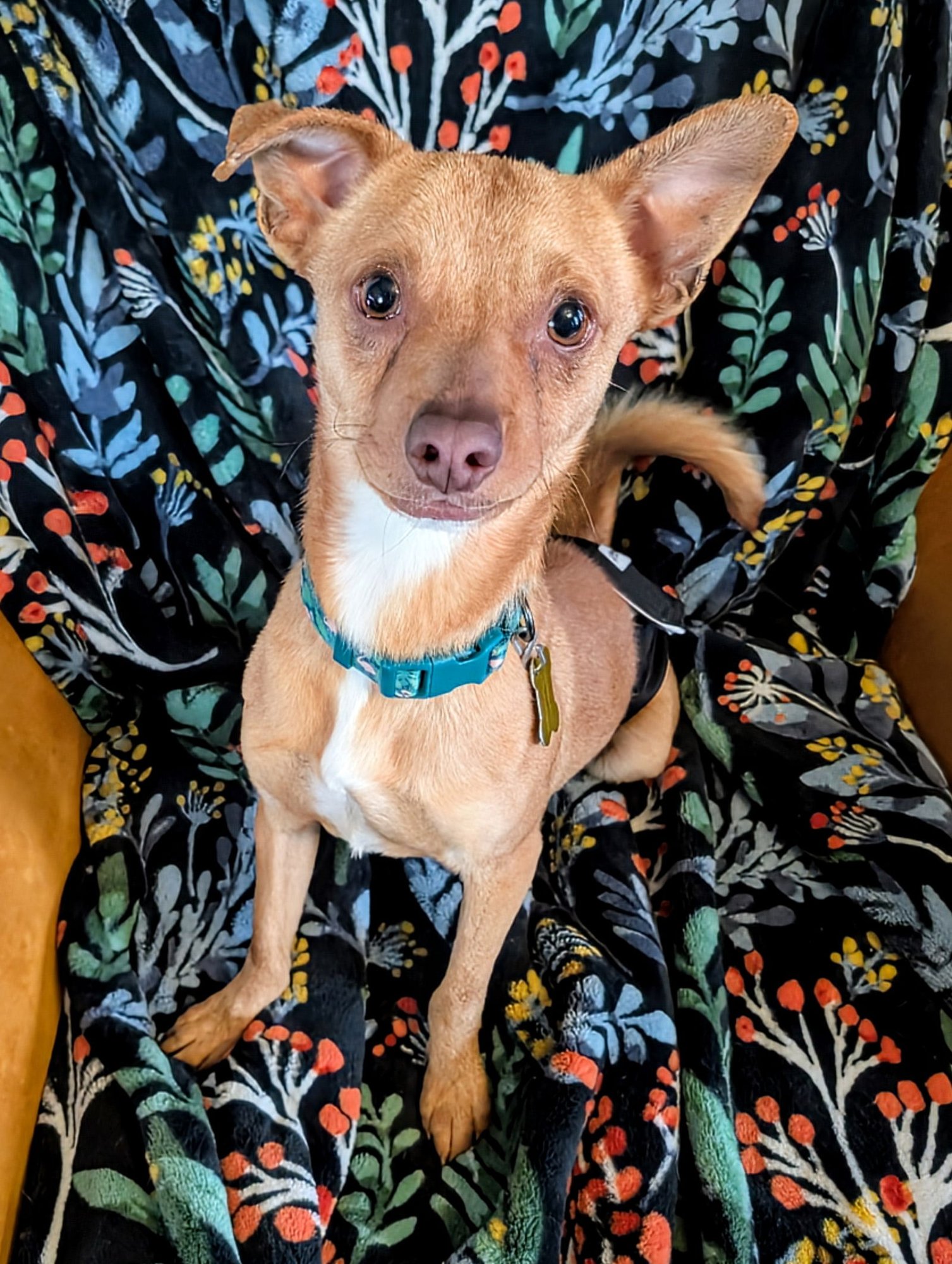 Nathan for You - Photo 3