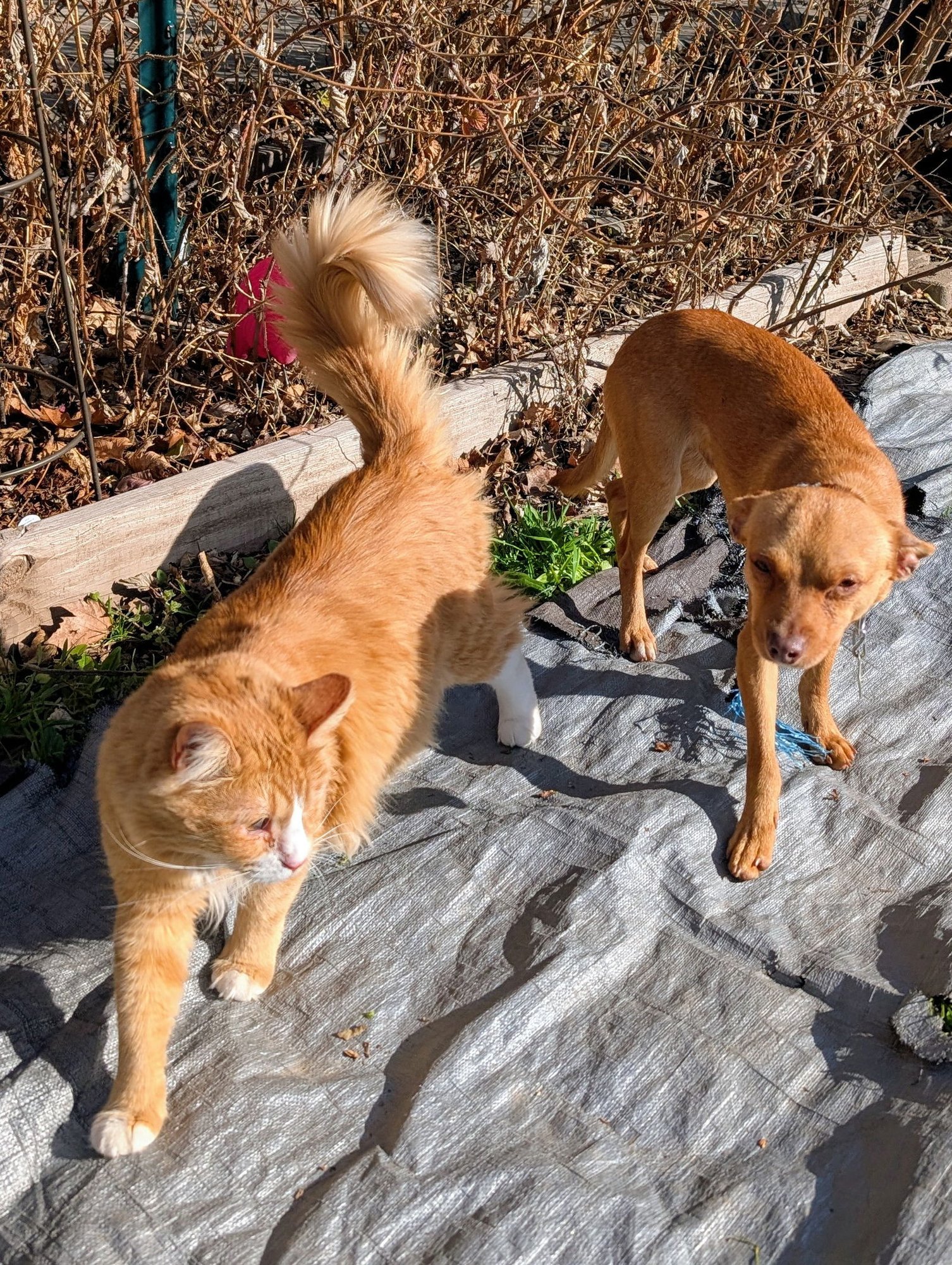 Nathan for You - Photo 4