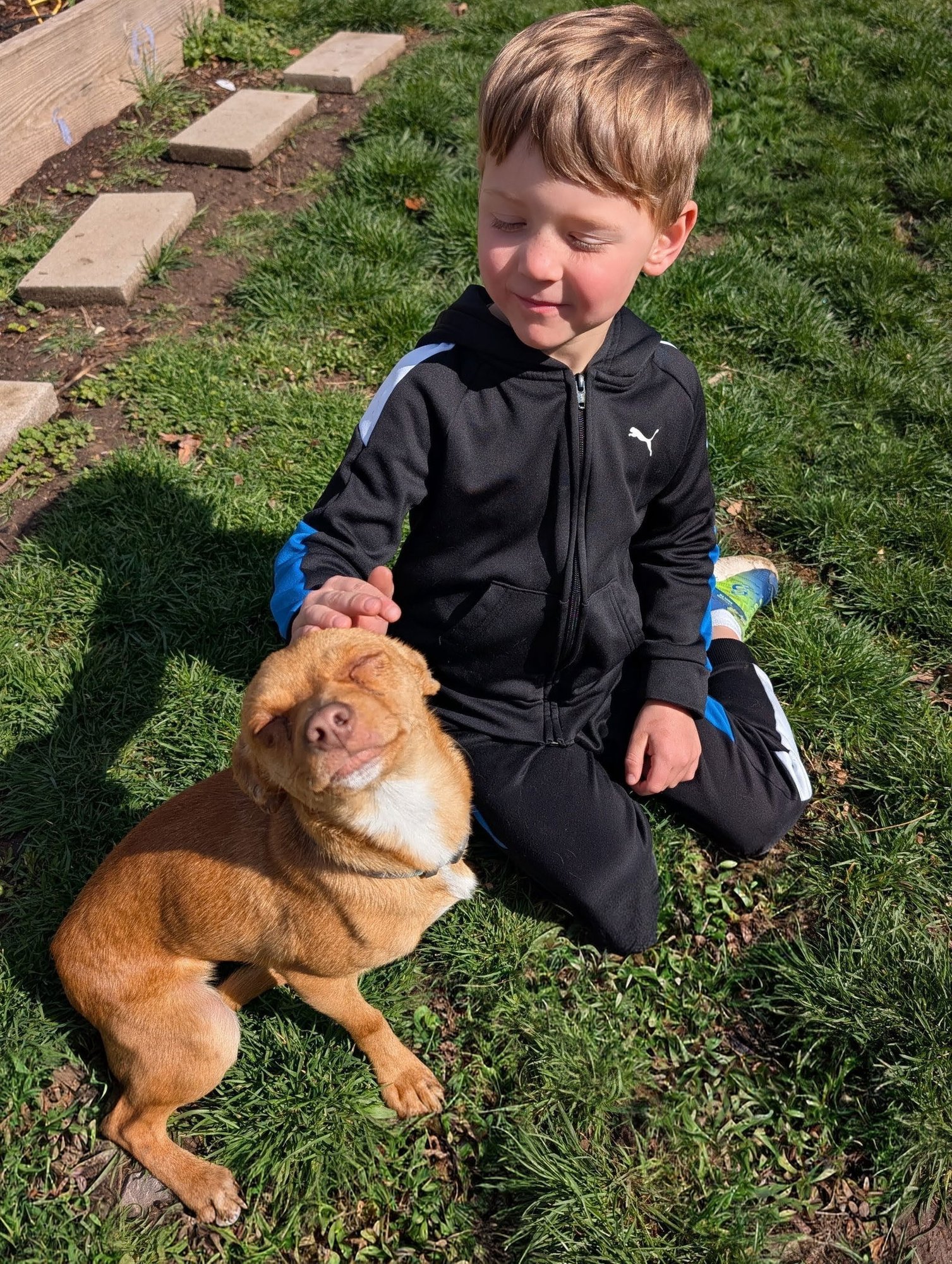 Nathan for You - Photo 5