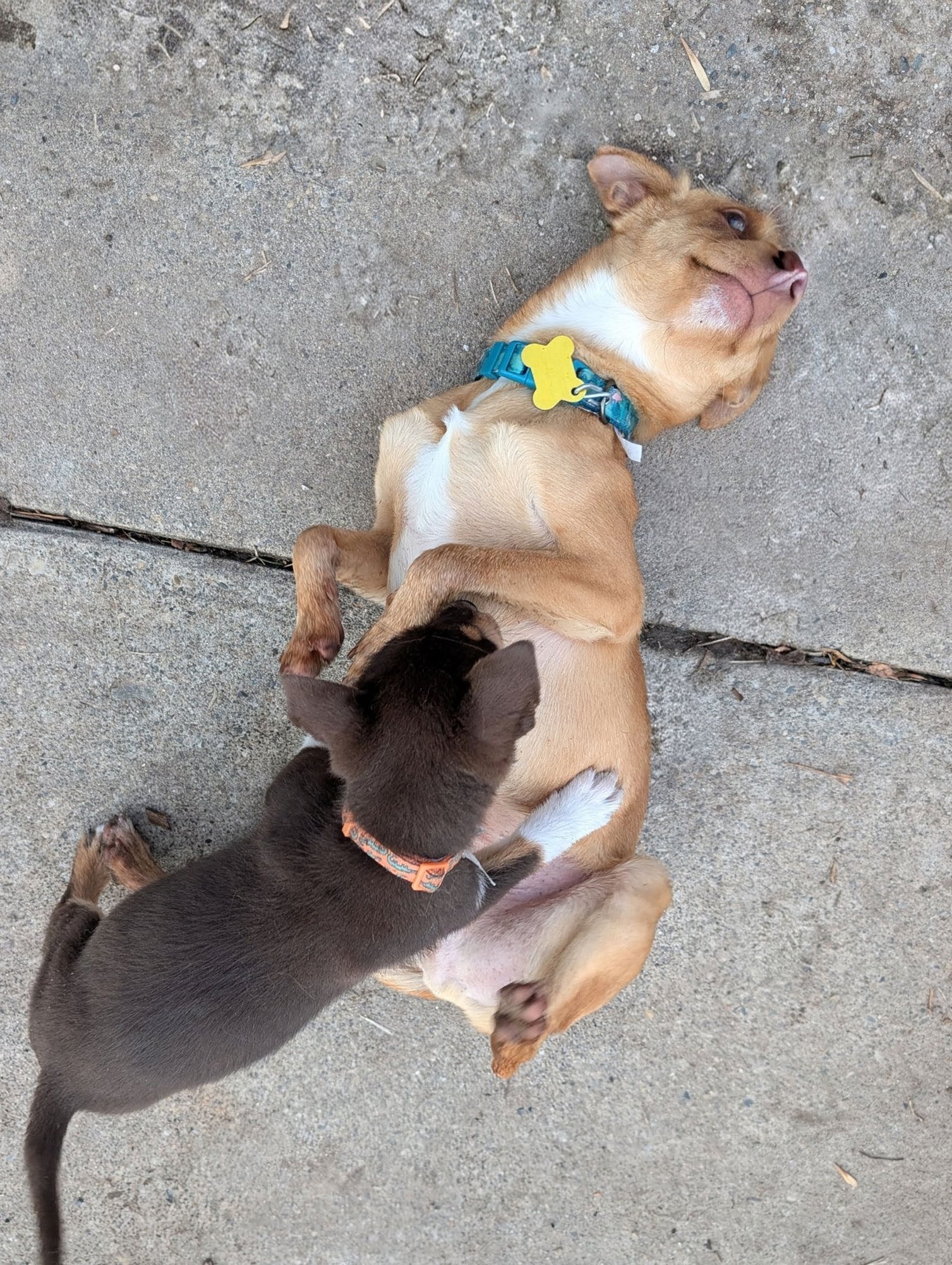 Nathan for You - Photo 6