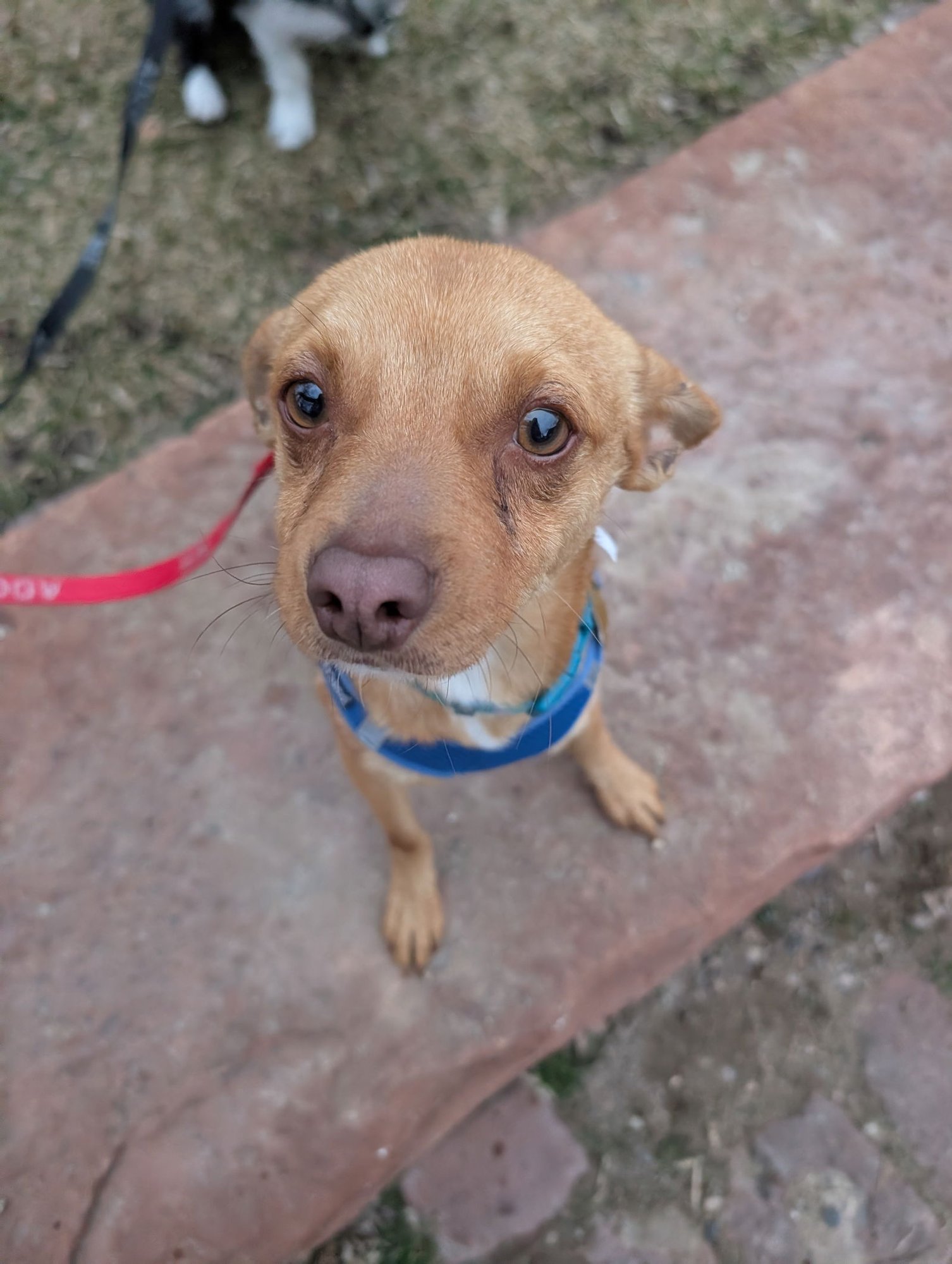 Nathan for You - Photo 7