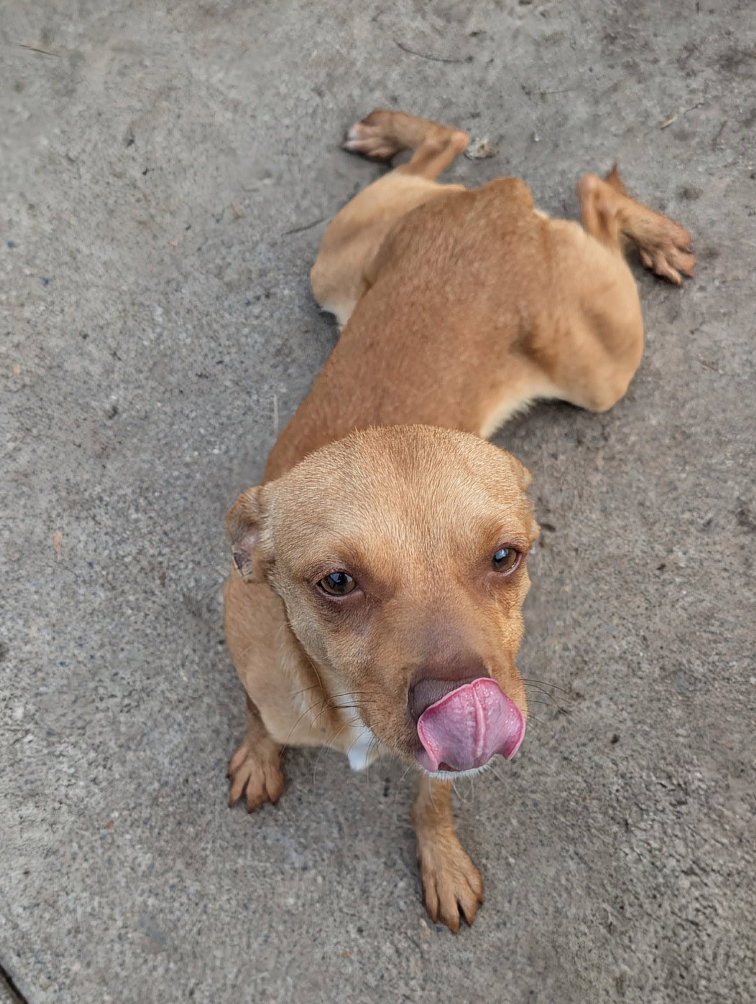 Nathan for You - Photo 8