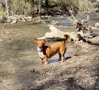 Guera Bonita - Photo 3