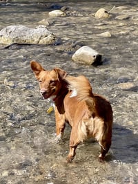 Guera Bonita - Photo 5