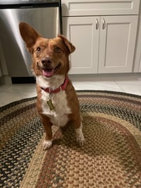 Guera Bonita - Photo 7