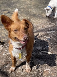 Guera Bonita - Photo 8