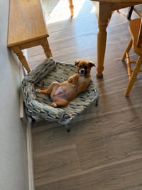 Victory - Photo 5