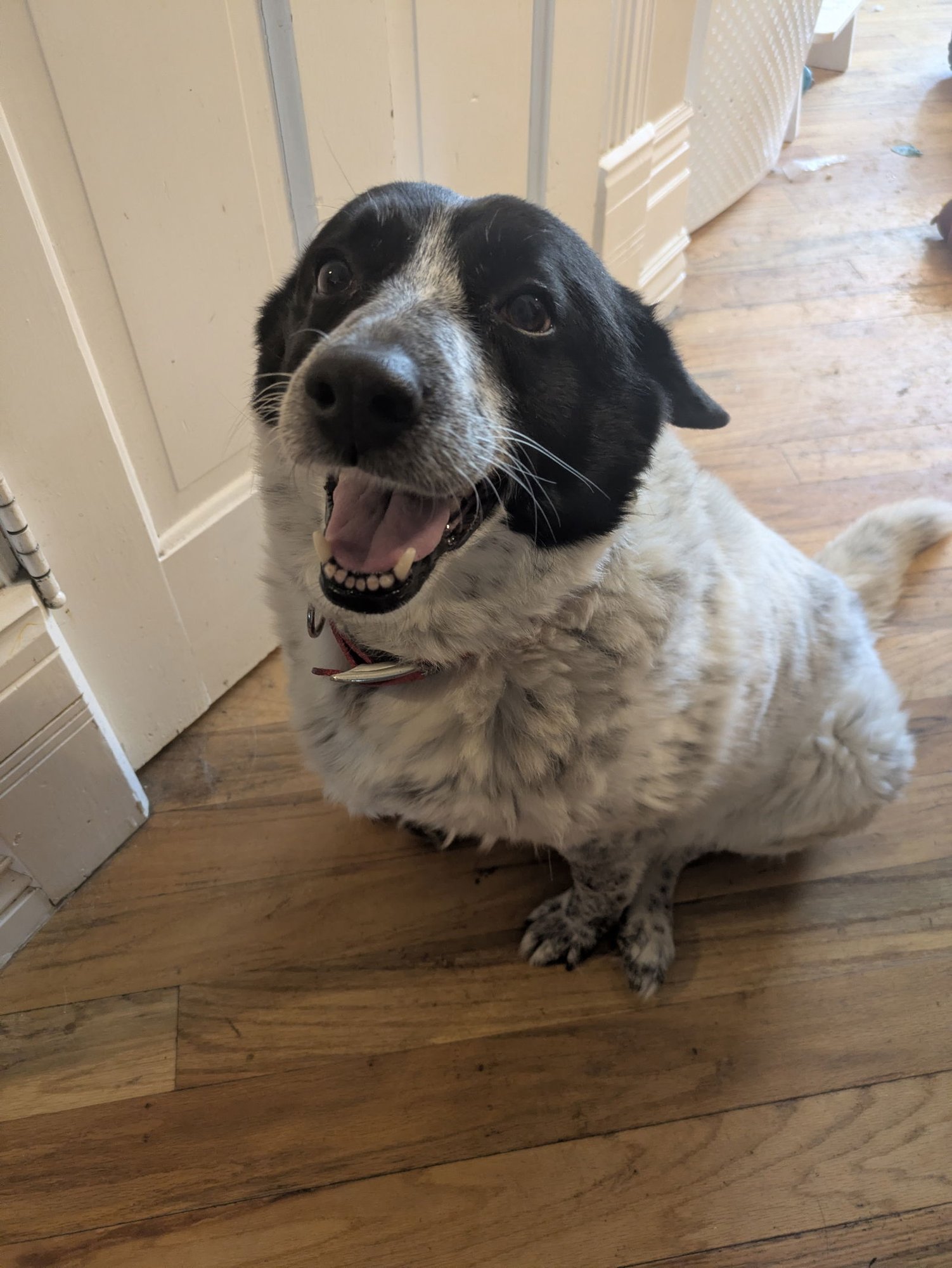 Serena Marie - Photo 3