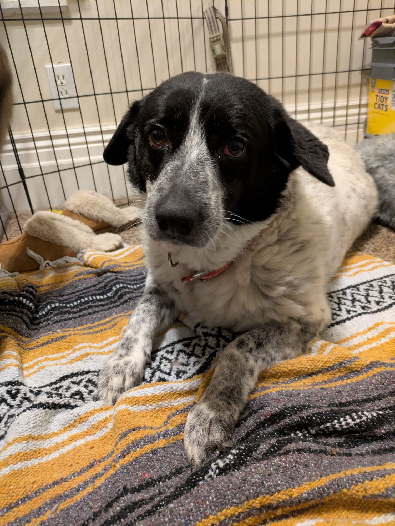 Serena Marie - Photo 5