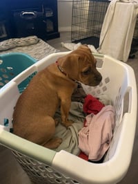 TeeNee - Photo 3
