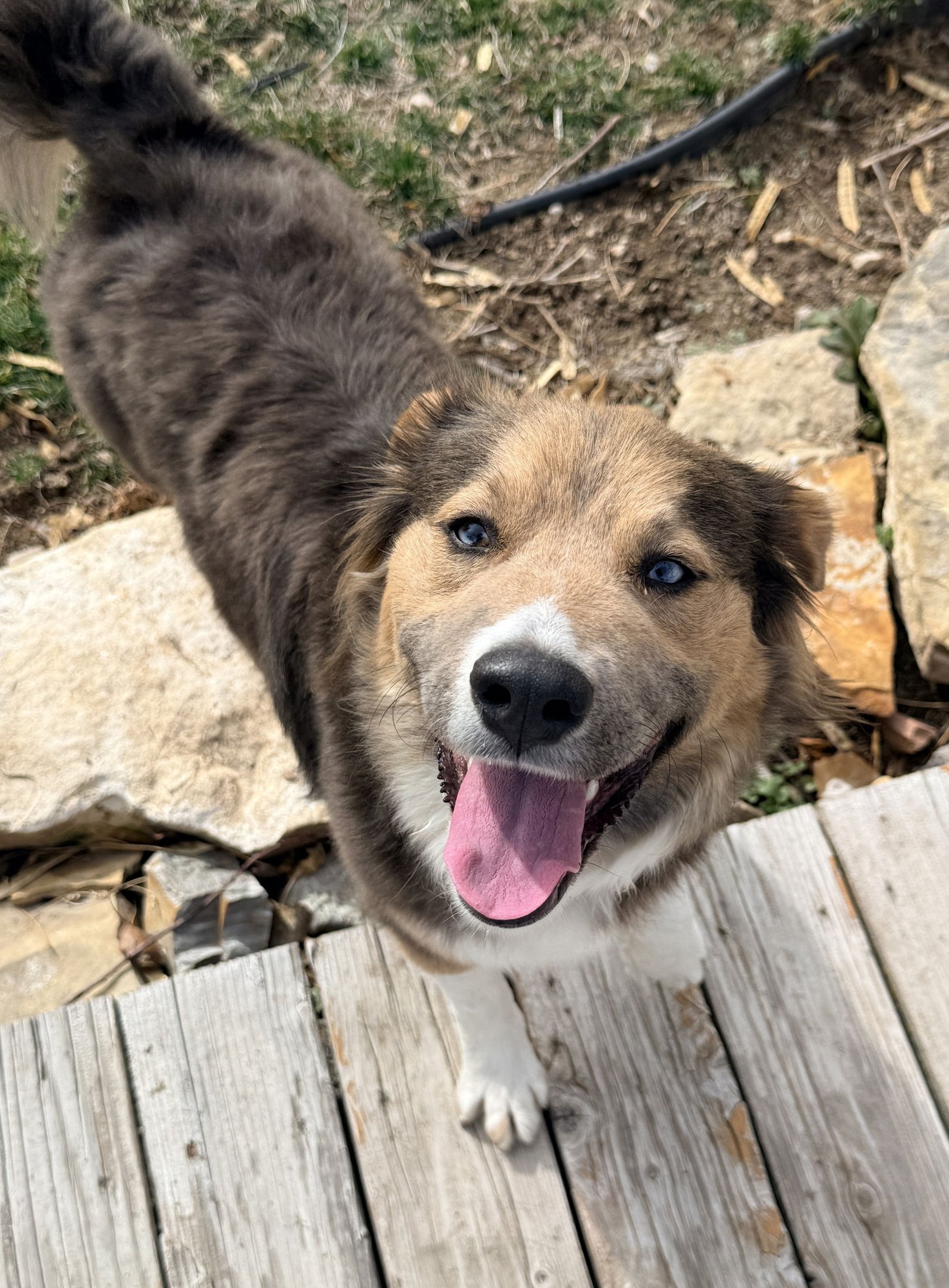 Trinity Santos - Photo 11