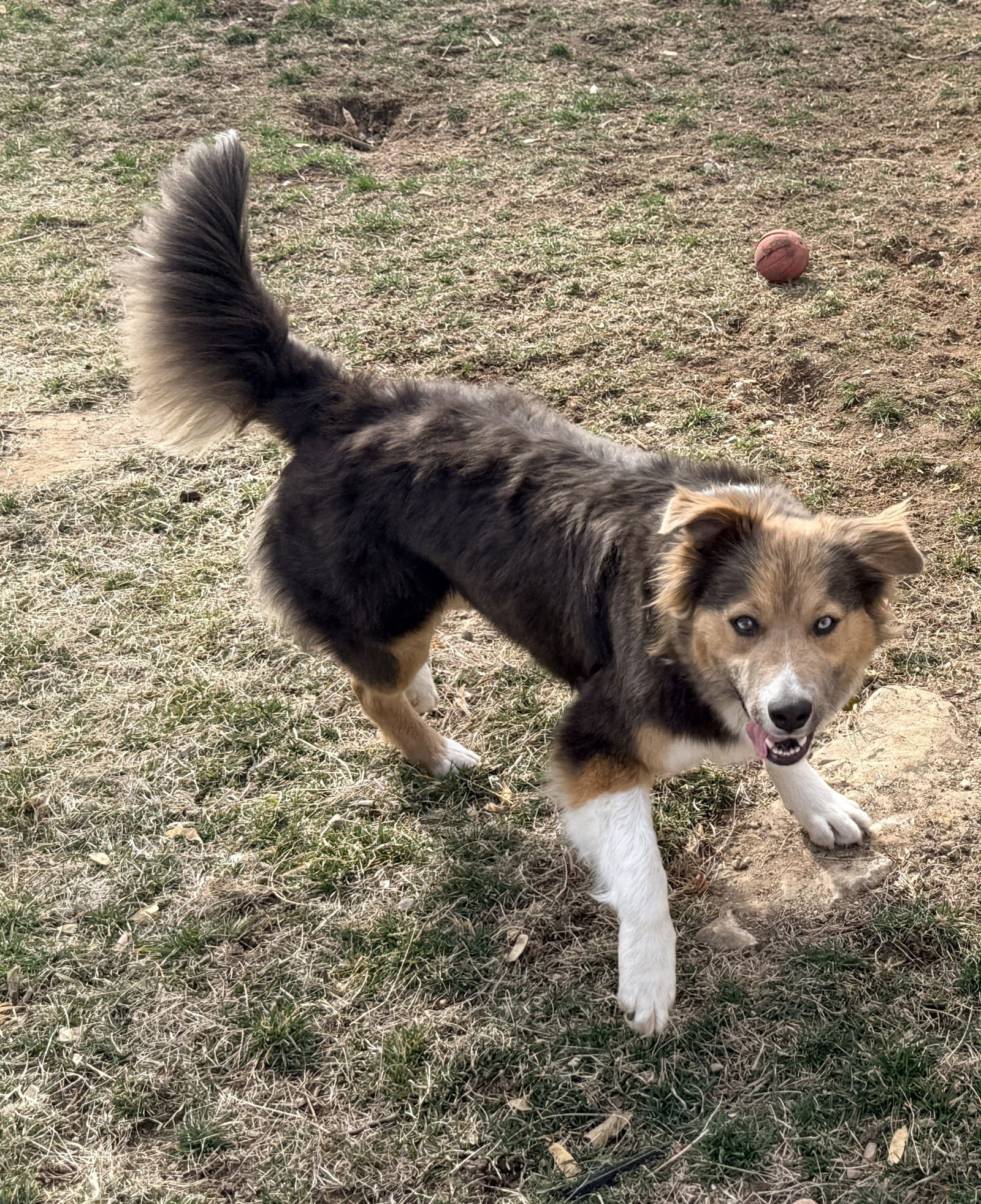 Trinity Santos - Photo 12