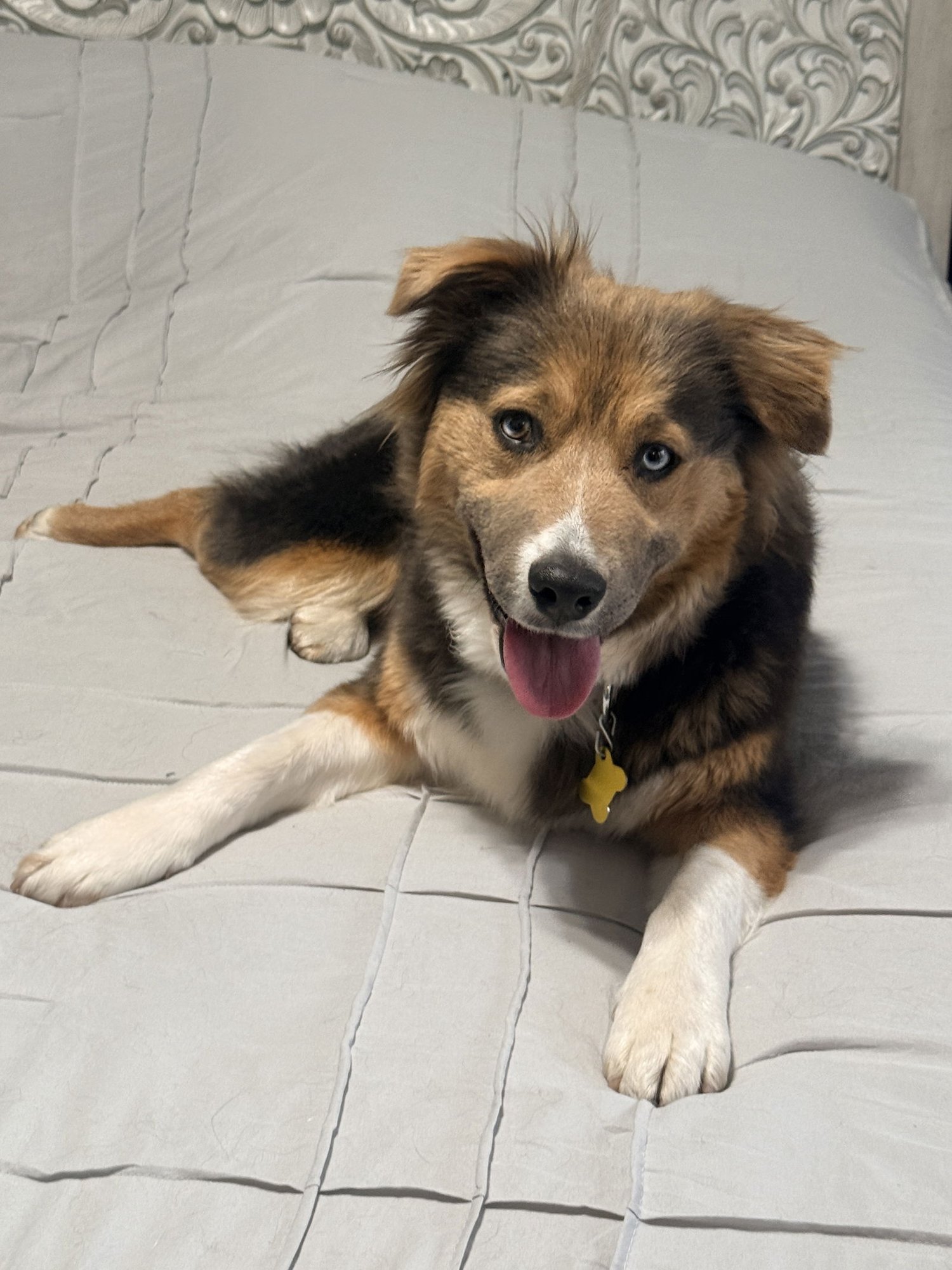 Trinity Santos - Photo 13