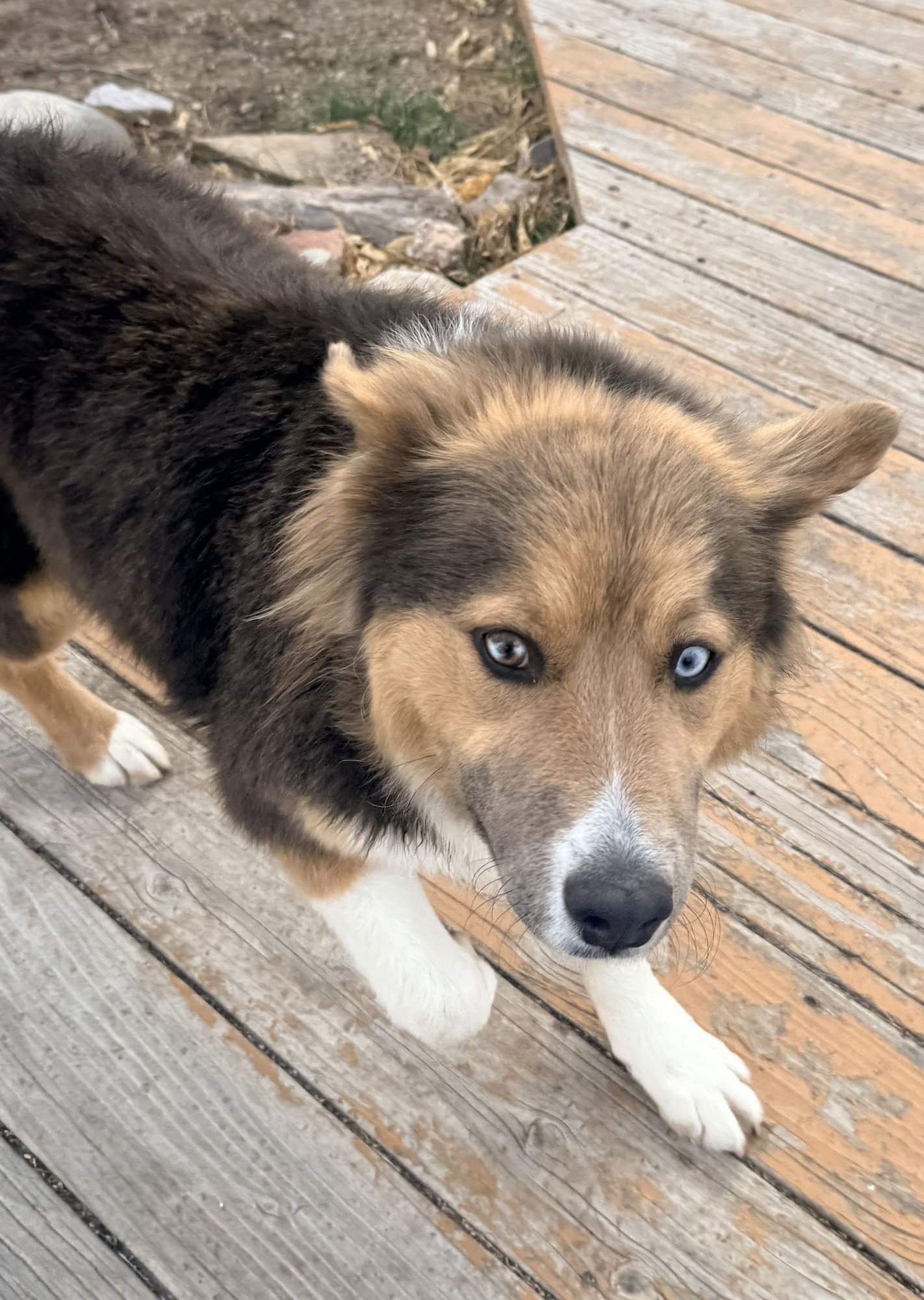 Trinity Santos - Photo 3