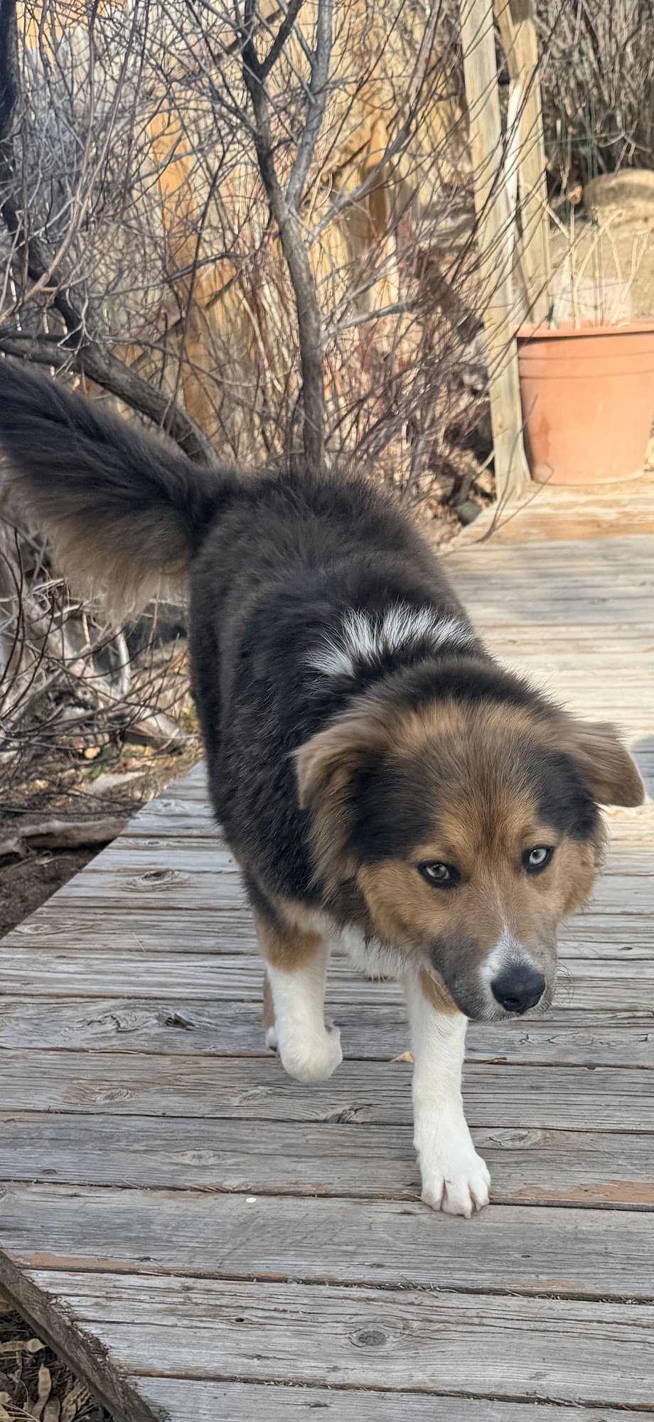 Trinity Santos - Photo 4